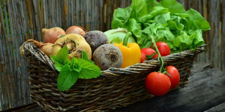 Vad Skiljer Vegan och Vegetarian? En Djupdykning i Skillnaderna